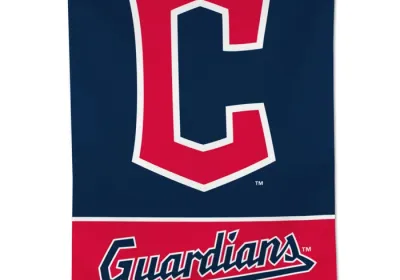 Guardians banner 28x40